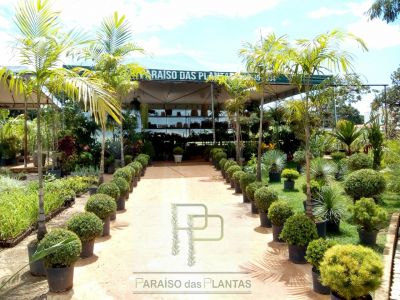 Paraíso das Plantas